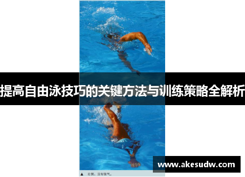 提高自由泳技巧的关键方法与训练策略全解析
