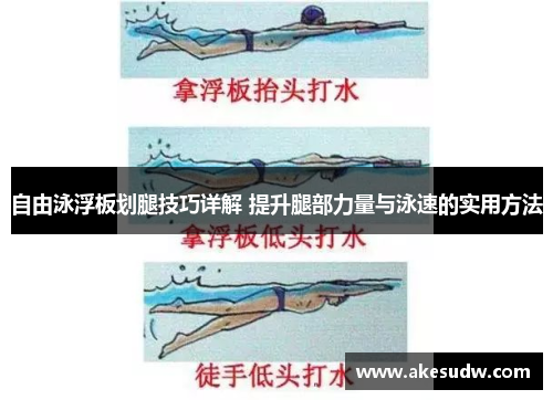 自由泳浮板划腿技巧详解 提升腿部力量与泳速的实用方法