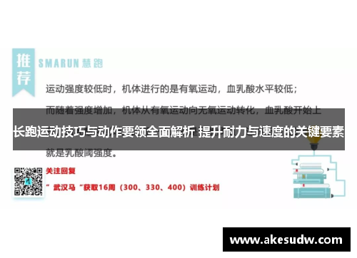 长跑运动技巧与动作要领全面解析 提升耐力与速度的关键要素