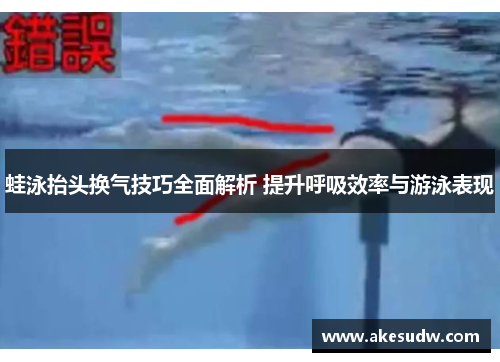 蛙泳抬头换气技巧全面解析 提升呼吸效率与游泳表现