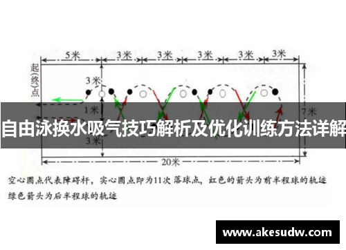 自由泳换水吸气技巧解析及优化训练方法详解