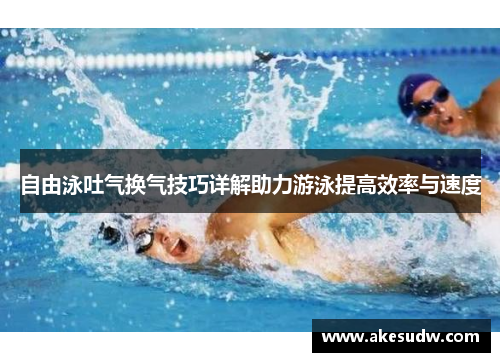 自由泳吐气换气技巧详解助力游泳提高效率与速度