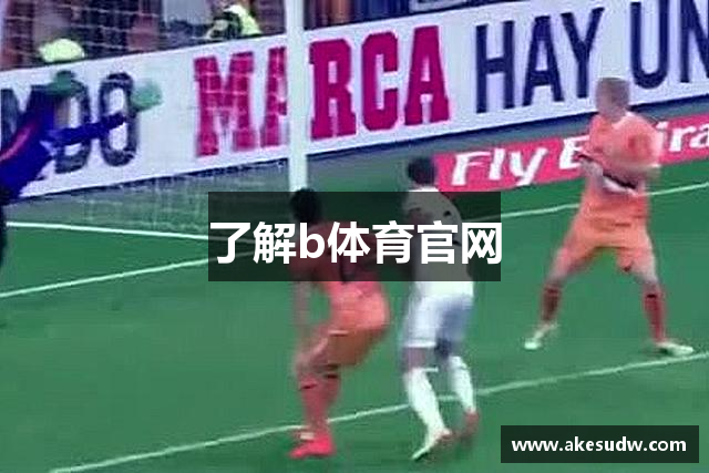 了解b体育官网